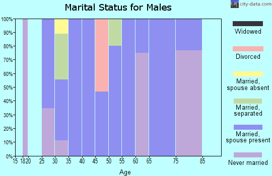 Zip code 28332 marital status for males