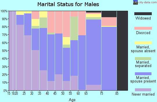 Zip code 28333 marital status for males