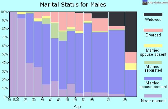 Zip code 28334 marital status for males