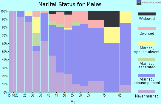 Zip code 28337 marital status for males