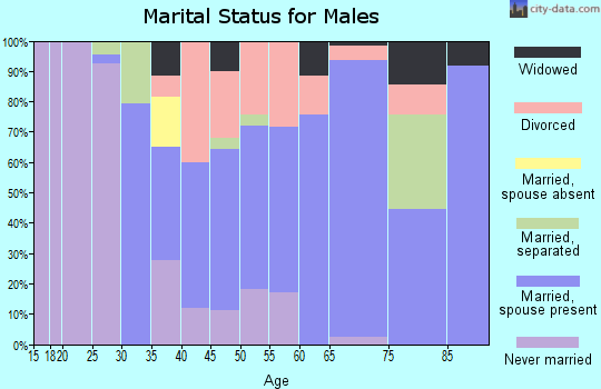 Zip code 28338 marital status for males