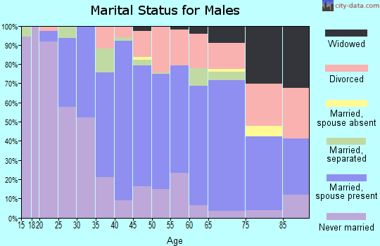 Zip code 28339 marital status for males