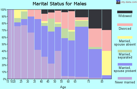 Zip code 28340 marital status for males