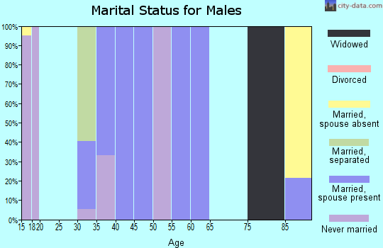 Zip code 28342 marital status for males