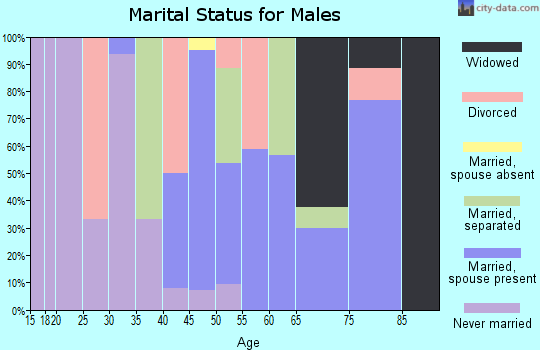Zip code 28343 marital status for males