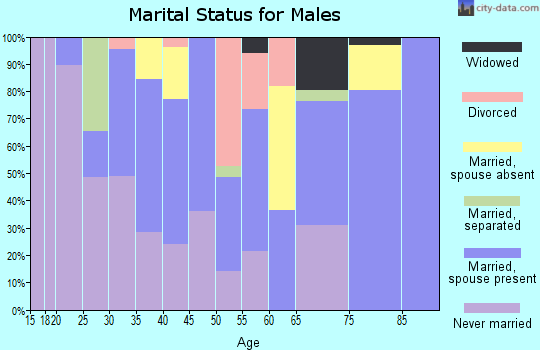 Zip code 28344 marital status for males