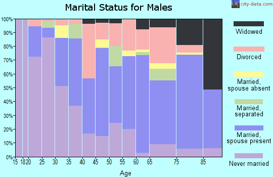 Zip code 28345 marital status for males