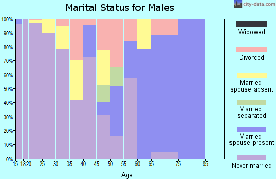 Zip code 28347 marital status for males