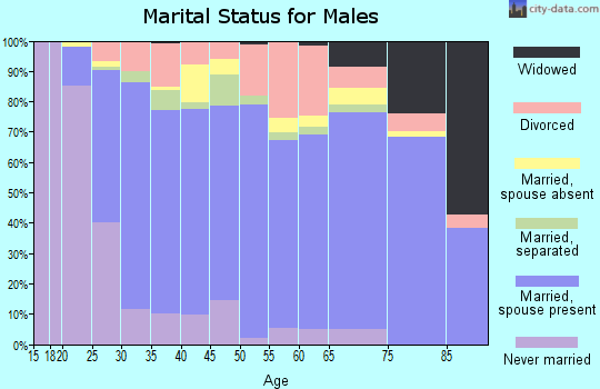 Zip code 28348 marital status for males