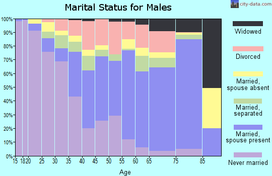 Zip code 28352 marital status for males