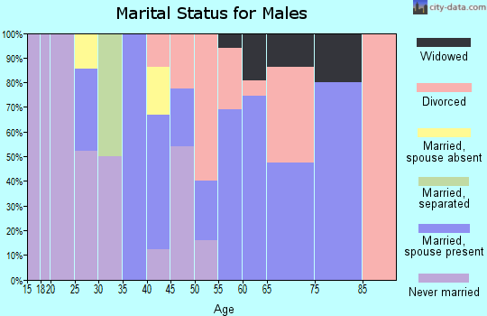 Zip code 28357 marital status for males
