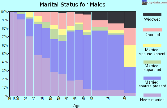 Zip code 28358 marital status for males