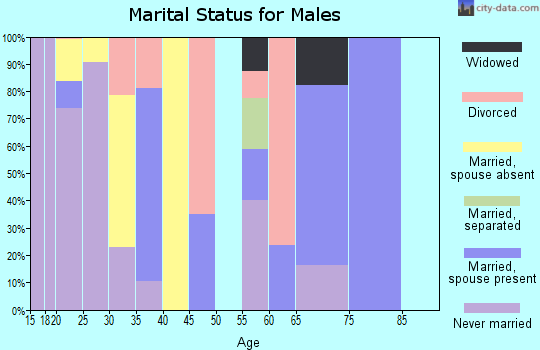 Zip code 28363 marital status for males