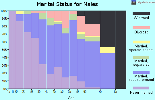 Zip code 28364 marital status for males