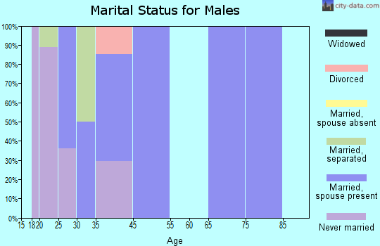 Zip code 28368 marital status for males