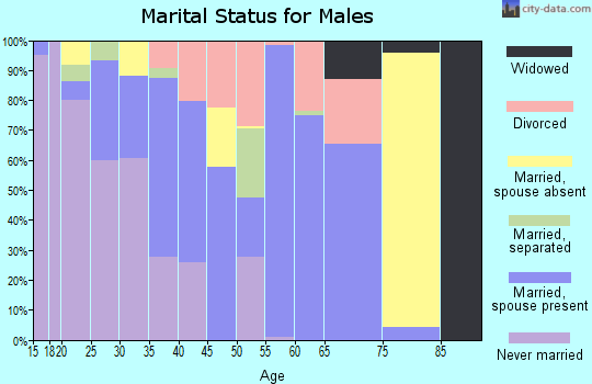Zip code 28371 marital status for males