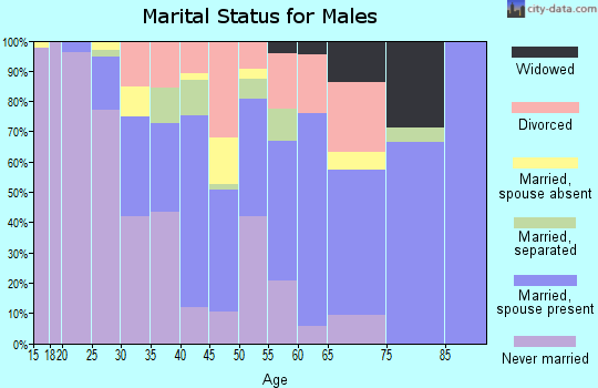 Zip code 28372 marital status for males