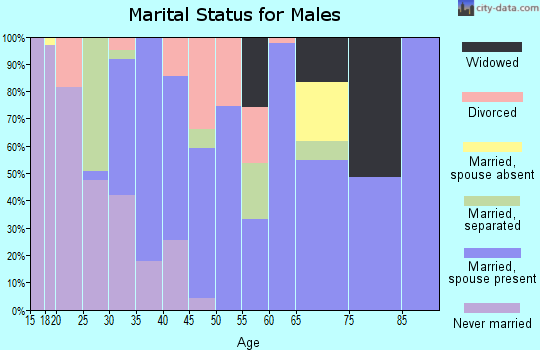 Zip code 28373 marital status for males