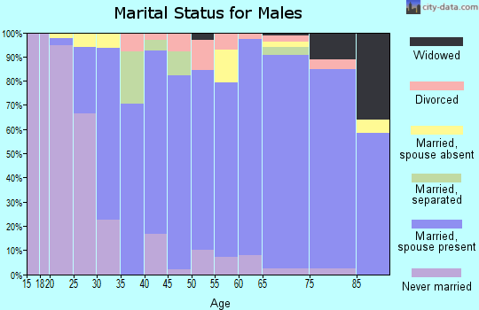 Zip code 28374 marital status for males