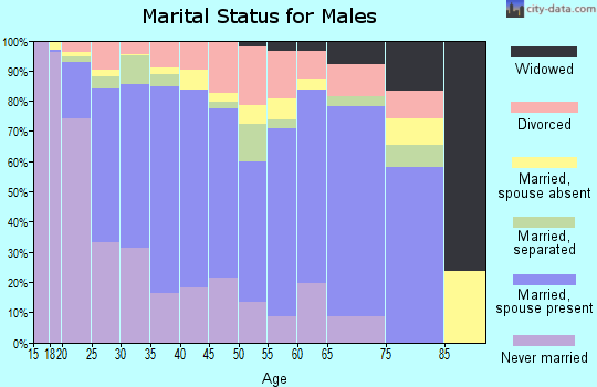 Zip code 28376 marital status for males