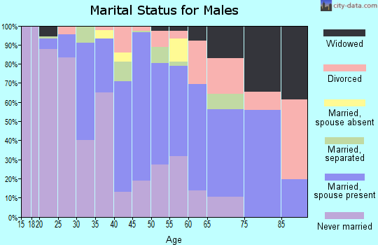 Zip code 28377 marital status for males