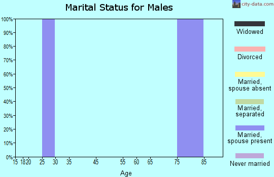 Zip code 28378 marital status for males