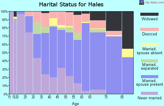 Zip code 28379 marital status for males