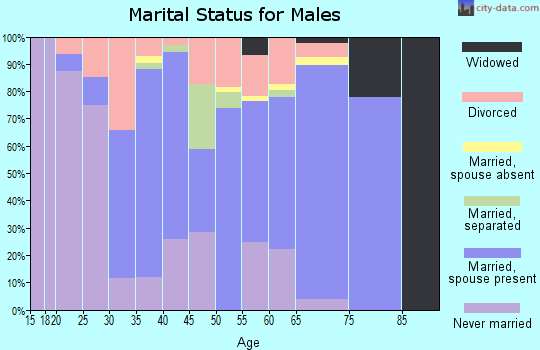 Zip code 28382 marital status for males
