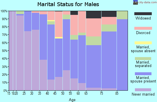 Zip code 28383 marital status for males