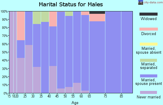 Zip code 28385 marital status for males