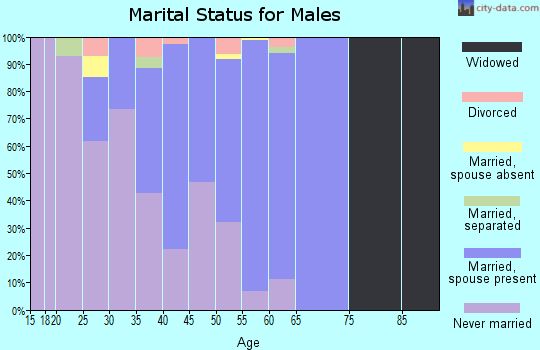 Zip code 28386 marital status for males