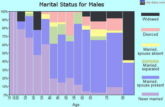 Zip code 28387 marital status for males