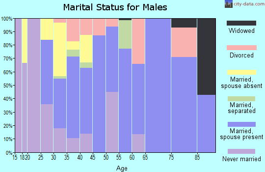 Zip code 28391 marital status for males