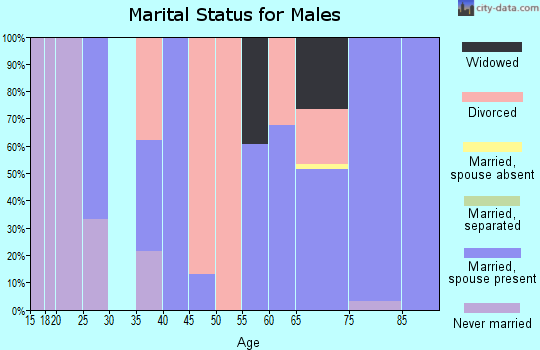 Zip code 28392 marital status for males