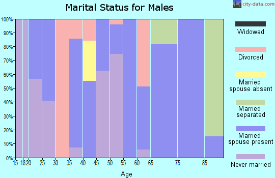 Zip code 28393 marital status for males