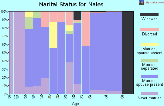 Zip code 28394 marital status for males