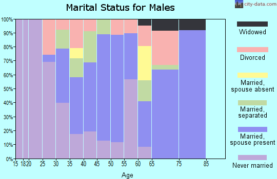 Zip code 28395 marital status for males