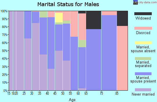 Zip code 28396 marital status for males