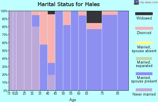 Zip code 28421 marital status for males