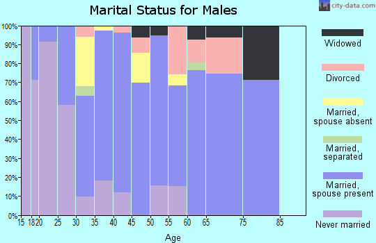 Zip code 28423 marital status for males