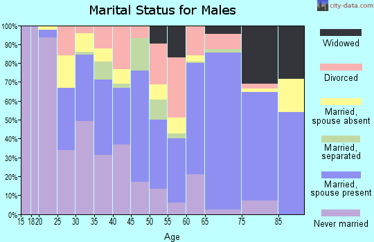 Zip code 28425 marital status for males