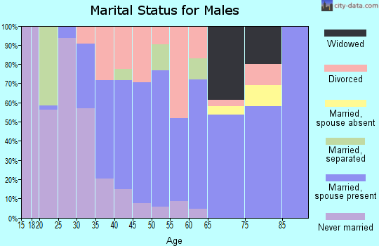 Zip code 28428 marital status for males