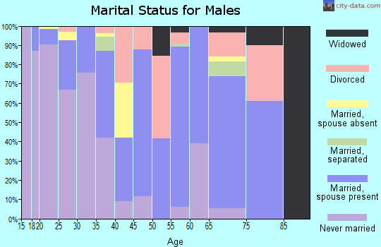 Zip code 28429 marital status for males
