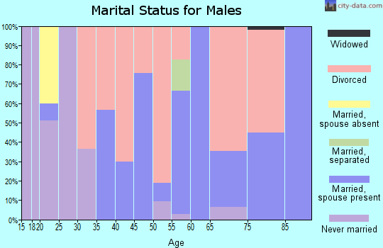 Zip code 28430 marital status for males