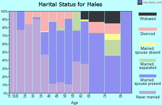 Zip code 28433 marital status for males