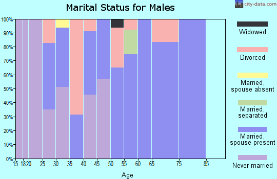 Zip code 28438 marital status for males