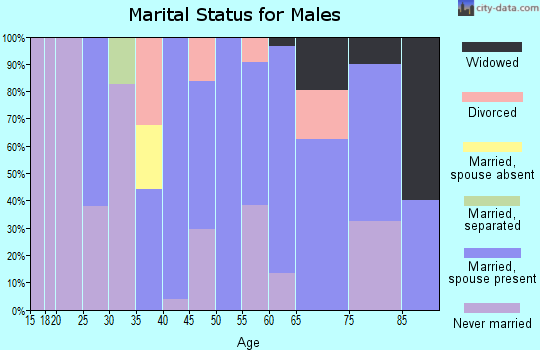 Zip code 28439 marital status for males