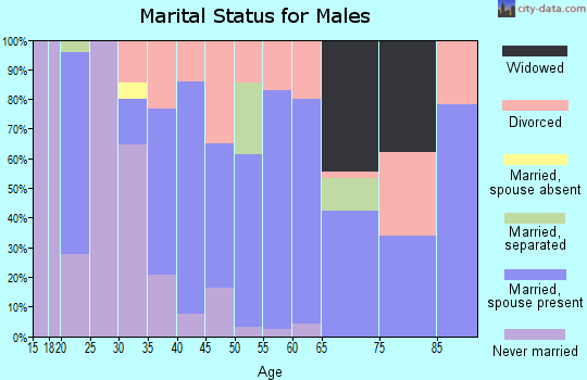 Zip code 28441 marital status for males