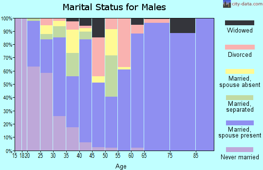Zip code 28445 marital status for males