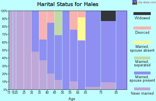 Zip code 28449 marital status for males